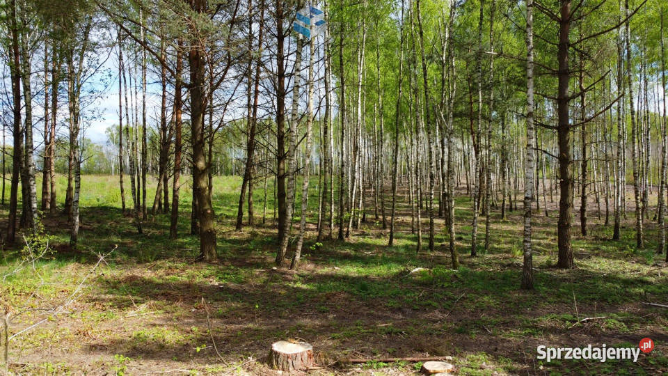 Grunt 1148m2 Mokiny kanalizacja