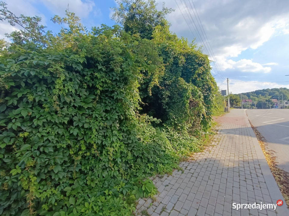 sprzedaży ziemi Kielce 1299m2 kanalizacja świętokrzyskie