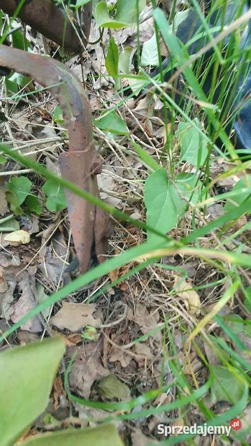 Bagażnik dachowy wartburg Warszawa sprzedam