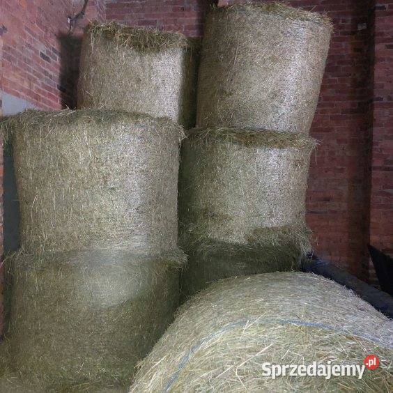 Siano i sianokiszonka Pozostałe