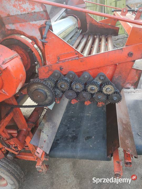 Kosz przyjęciowych do ziemniaków sortownik AMAC Swarzewo