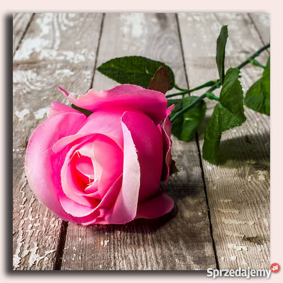 Sztuczne kwiaty Importer Tuchola sprzedam