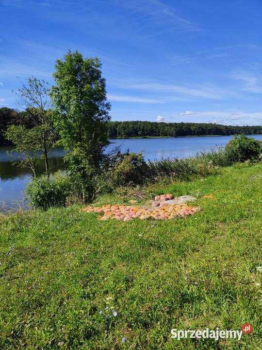 działka na mazurach z linią brzegową