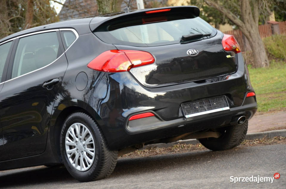 Kia Ceed Zarejestrowana 16GDi 135 Serwis Navi nieuszkodzony Kia Kutno
