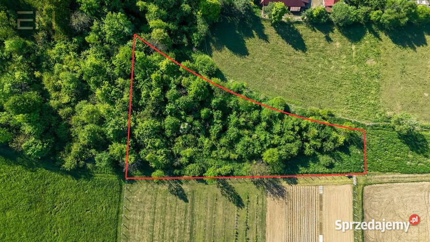 Działka Lubenia 2800m2 podkarpackie
