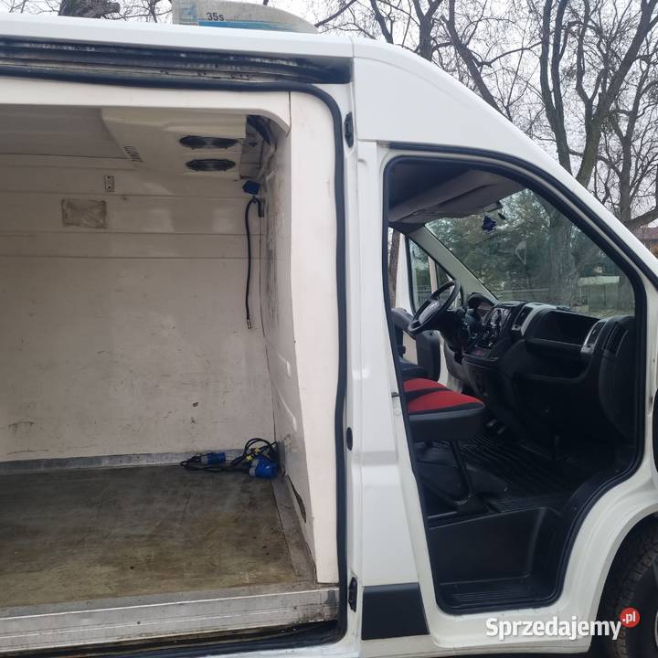 Fiat Ducato CHŁODNIA ZANOTTI Salon 1 Właściciel Fiat