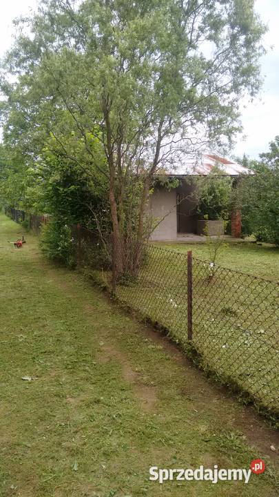 Ogródek działkowy Tarnów Krzyż