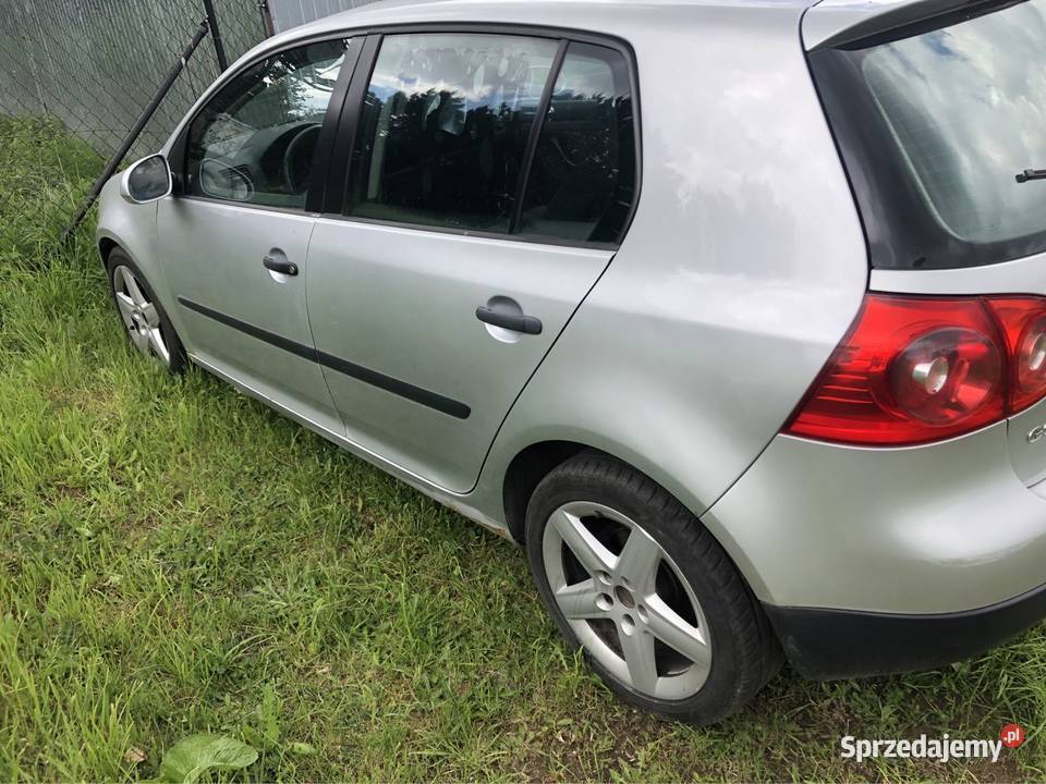 Golf 19 Rok produkcji 2004 Kamieniec Ząbkowicki