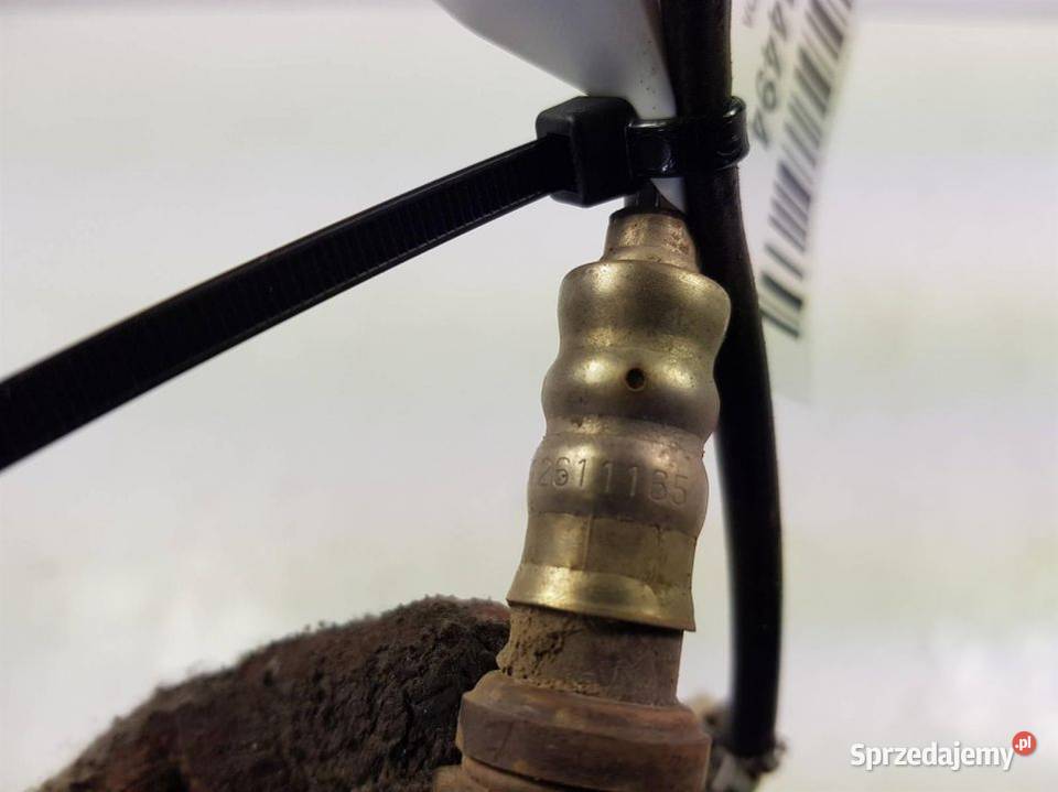 SONDA CHEVROLET CORVETTE C6 12611165 osobowe Pozostałe kujawsko-pomorskie Lipno