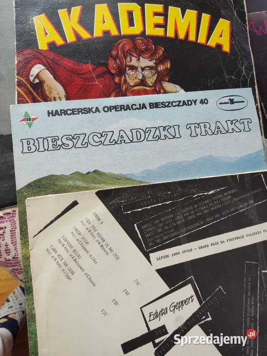 płyty winylowe 18 sztuk wyprzedaż kolekcji lubuskie Gorzów Wielkopolski