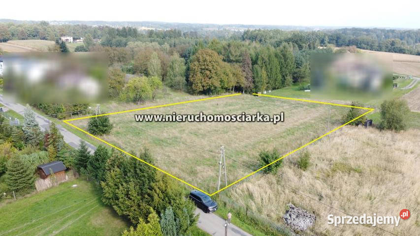 Grunt Zebrzydowice 4984m2 Sprzedaż