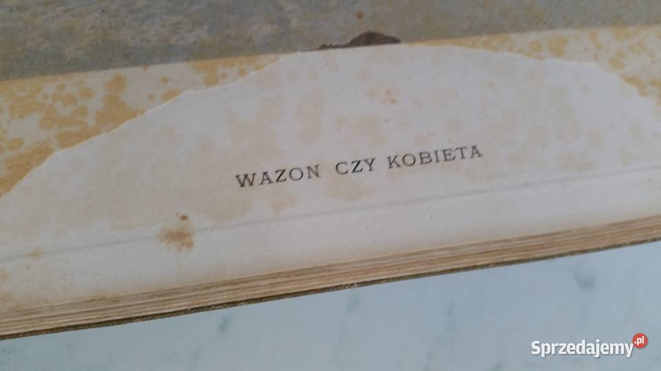 Album Henryk Siemiradzki Stanisław Lewandowski Antykwariat Puławy