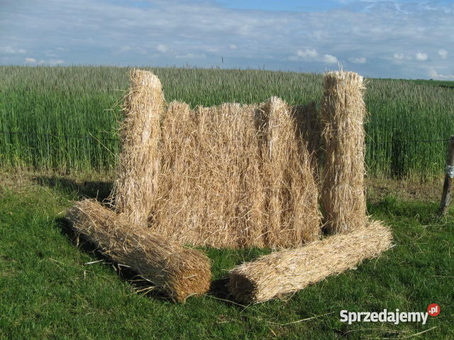 Maty słomiane wielkopolskie Poznań