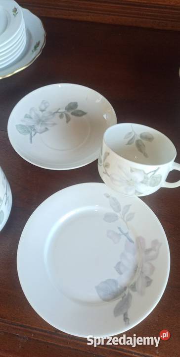 Filiżanka Kwiat jabłoni Rosenthal SelbGermany Gdańsk