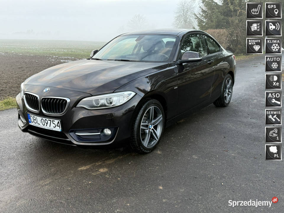 BMW 220 20i 184 68 B48 Bezwypadkowy Navi tempomat Ocice
