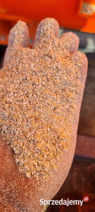 Usługi śrutowania Zbórz ziarna kukurydzy Dobrzyniewo Duże