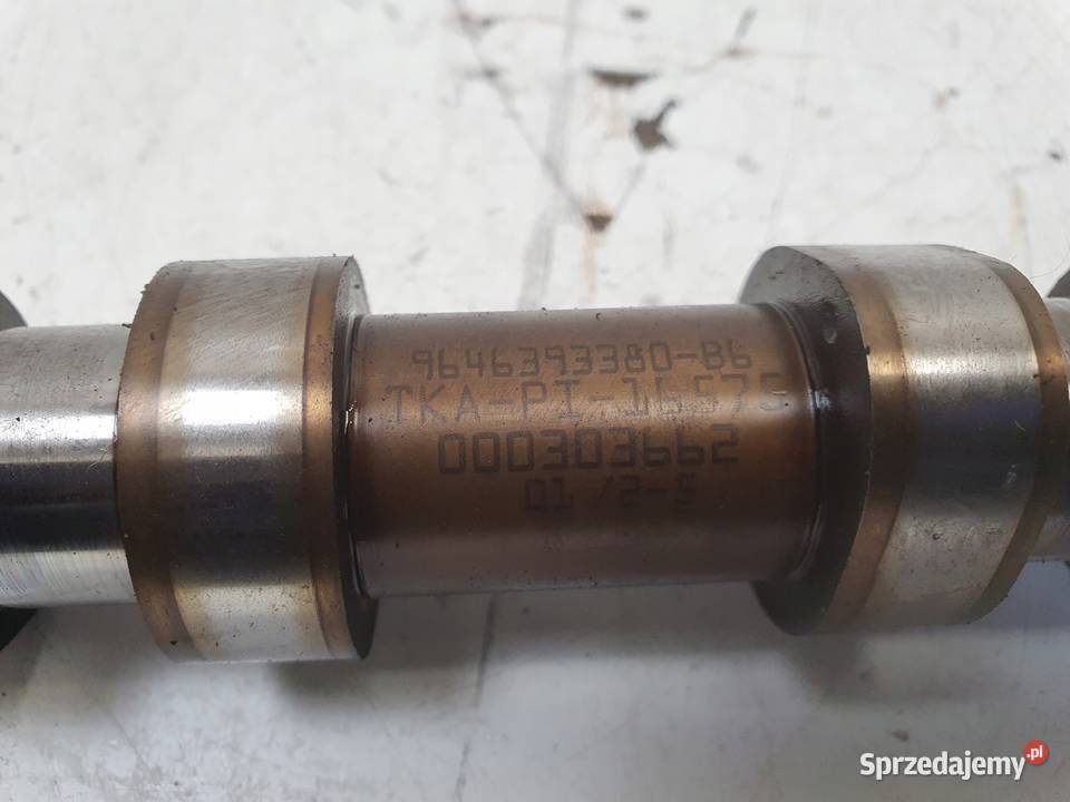 Peugeot 307 14 16V WAŁEK ROZRZĄDU wydechowy Rozrząd Chełm sprzedam