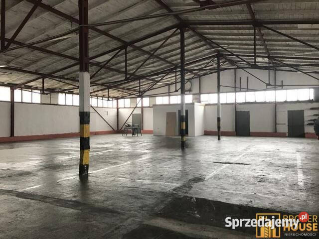 wynajmu lokalu Opole 39137 metrów sprzedam