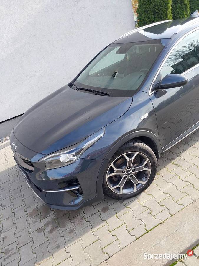 Kia Xceed 15 benzyna 61000km Dąbrowa Górnicza sprzedam