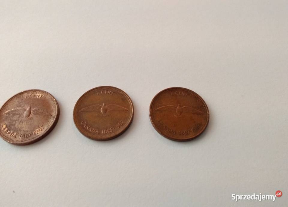 1 Cent Canada 1967r 100 Lat Kanada Gołąb Mewa Radom