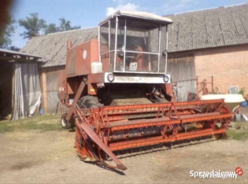 Bizon z056 nierekordgigantbs Jelenie sprzedam