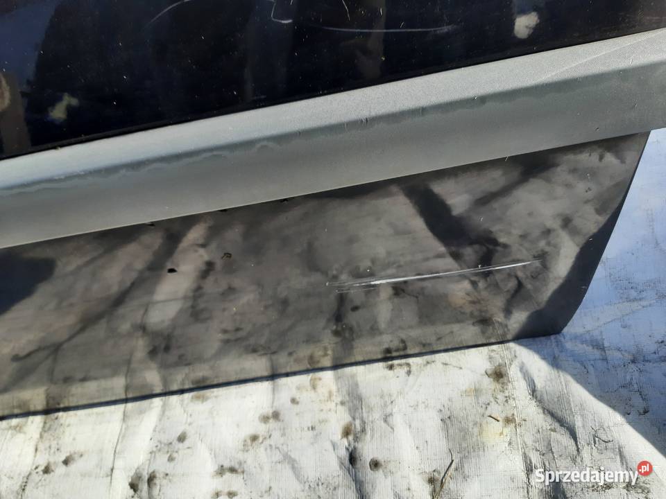 Renault Scenic II Drzwi lewe przednie lewy przód Ksawerów