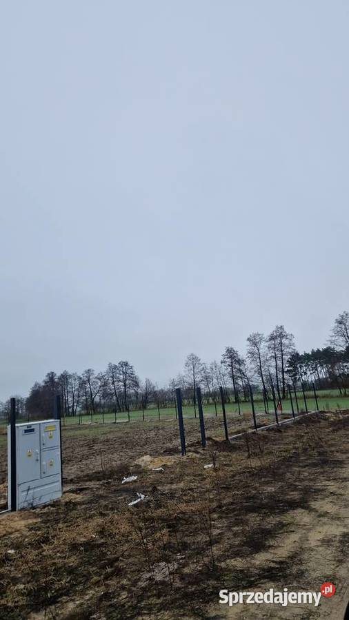 Działki jeziorem Powidzkim Sprzedaż wielkopolskie Kosewo