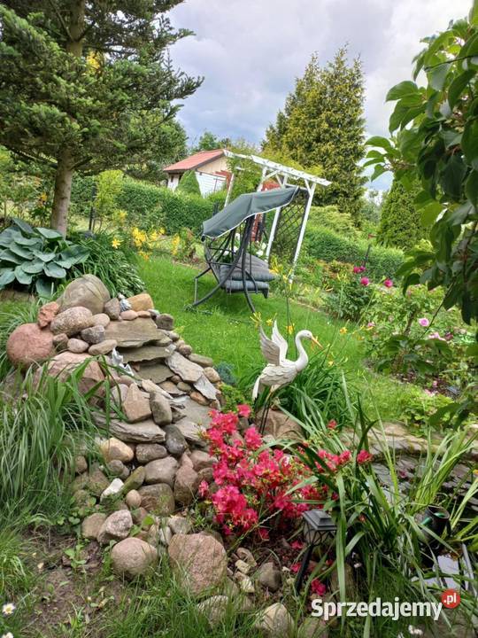 Dzialka ROD Bernatówka64 woda lubelskie Dys