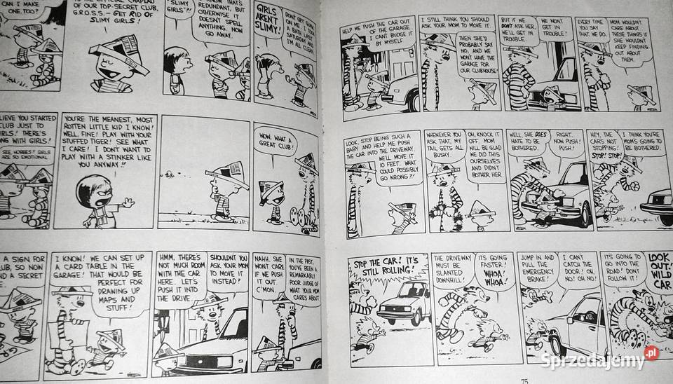 Calvin and Hobbes The Revenge of the BabySat Chełm