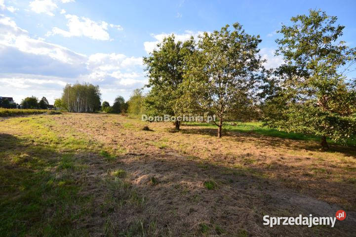 Działka 968m2 Bucze budowlana