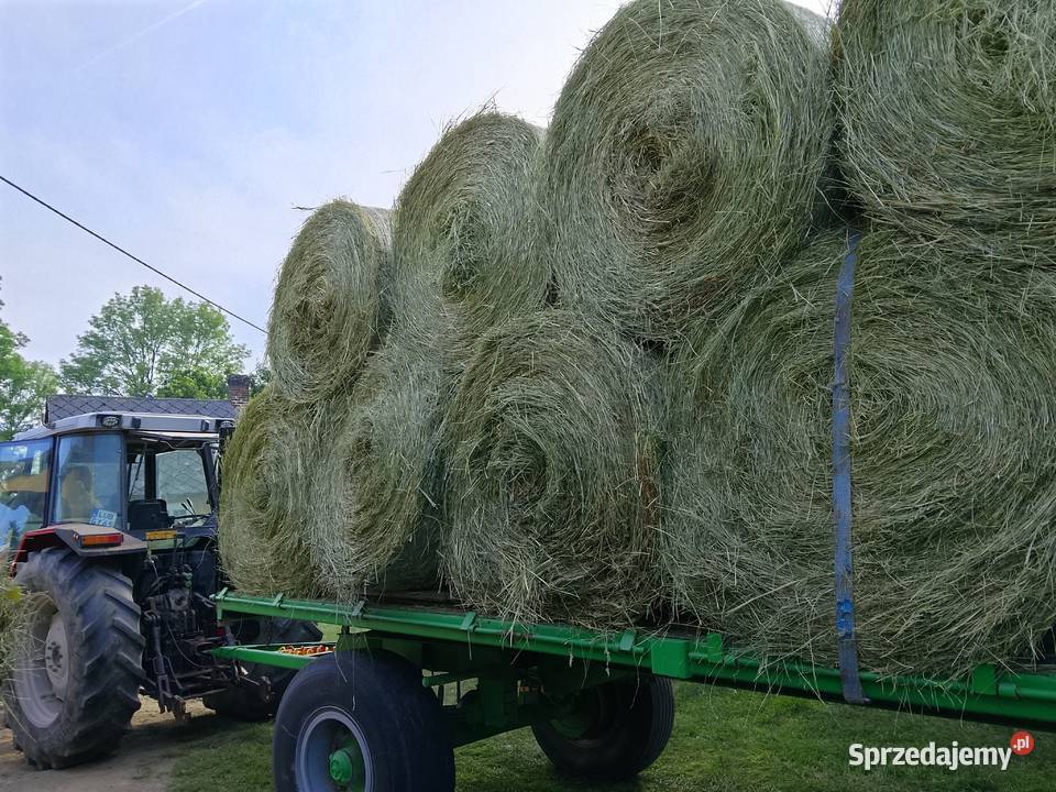 Sprzedam siano kostka i rolka lubelskie Turobin