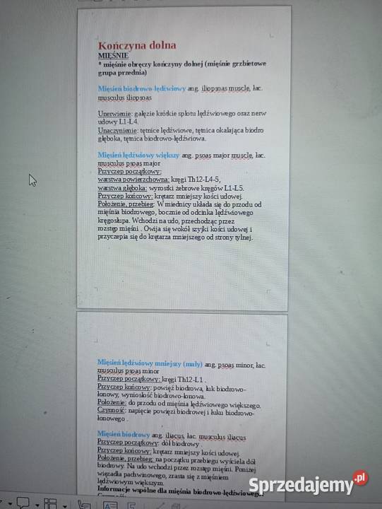 Notatki 1 pielęgniarstwa w pdf Radom