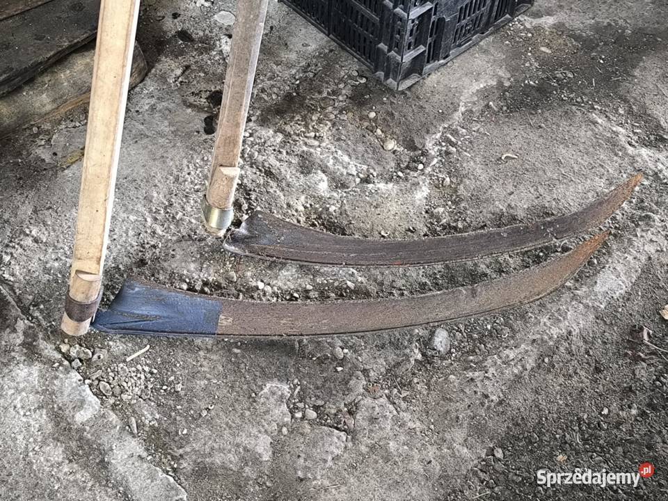 kosy do sieczenia w polu małopolskie Czechówka