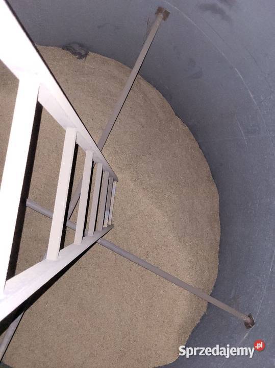 Owies Bingo zbiór 2025 łódzkie Stryków