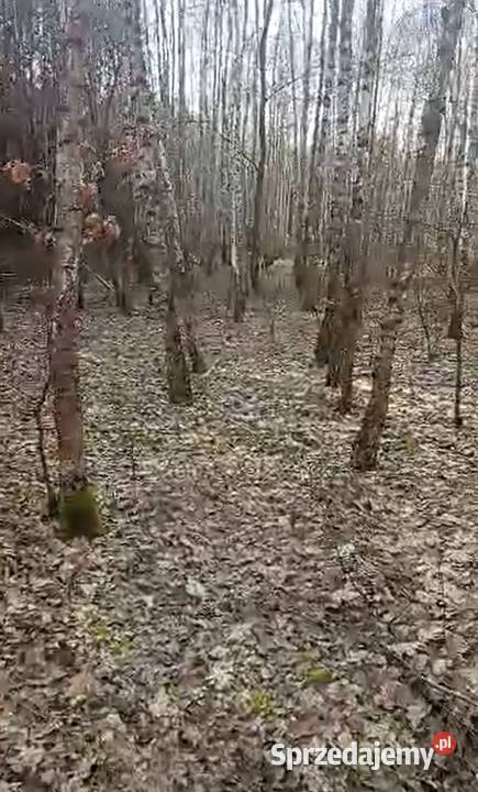 Sprzedam działkę Ostrów sprzedam
