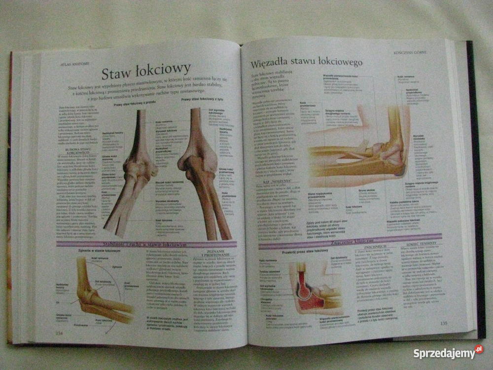 Atlas anatomii śląskie Ustroń