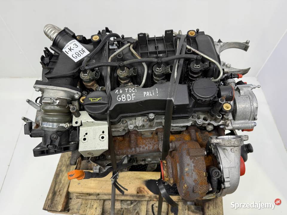 SILNIK G8DF Ford Focus II MK2 C C 16 TDCI 109 Chełm