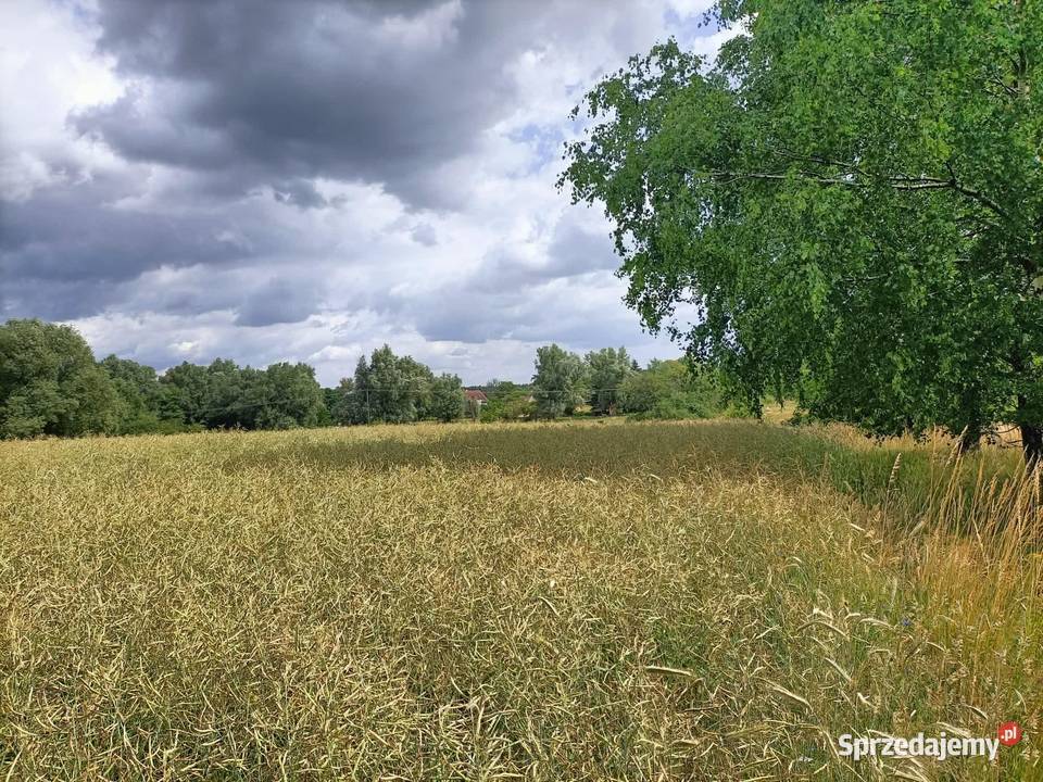 Działka budowlana Cieszeniewo