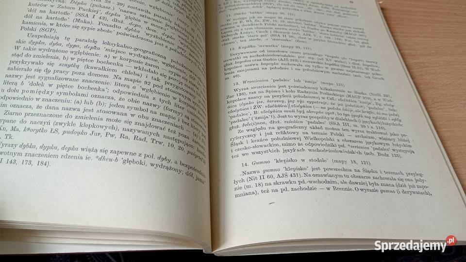 Gwary południowej Wielkopolski Henryk Nowak kompendium, repetytorium, opracowanie pomorskie Gdańsk