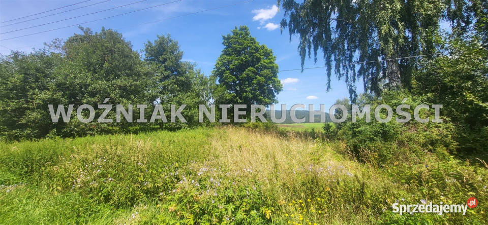 Działka Mieroszów 1900m2 Sprzedaż Nieruchomości sprzedam