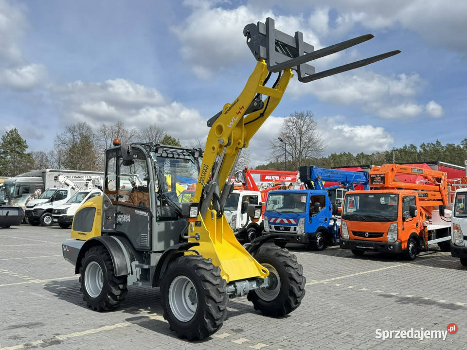 średnia kołowa Wacker Neuson WL 44 Łyżka Rok produkcji 2018 Widełki