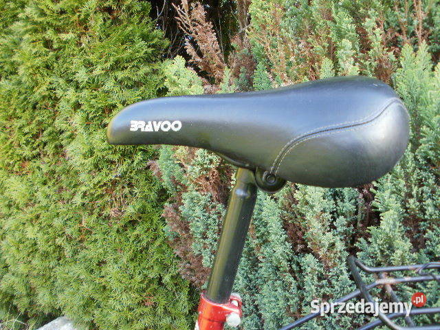 Rower chłopaka i dziewczyny PIĘKNY Wolbrom