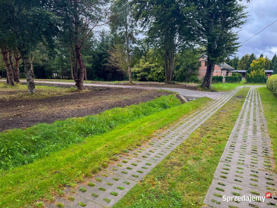 Działka budowlana z laskiem Sprzedaż Darłowo