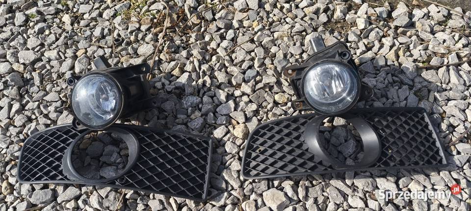 Halogeny i atrapy do polo 6n2 Skała