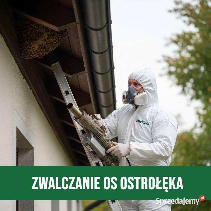 Zwalczanie Os Ostrołęka Usuwanie Gniazd