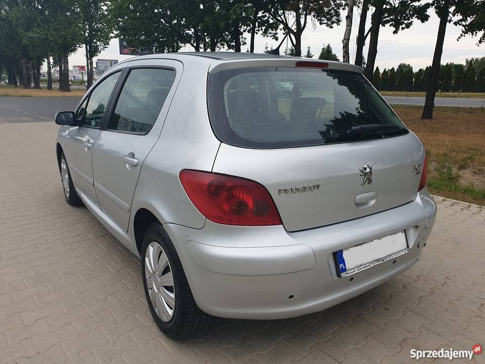 Peugeot 307 16 Diesel 2004 Climatronic Elektryka immobilizer wielkopolskie Poznań sprzedam
