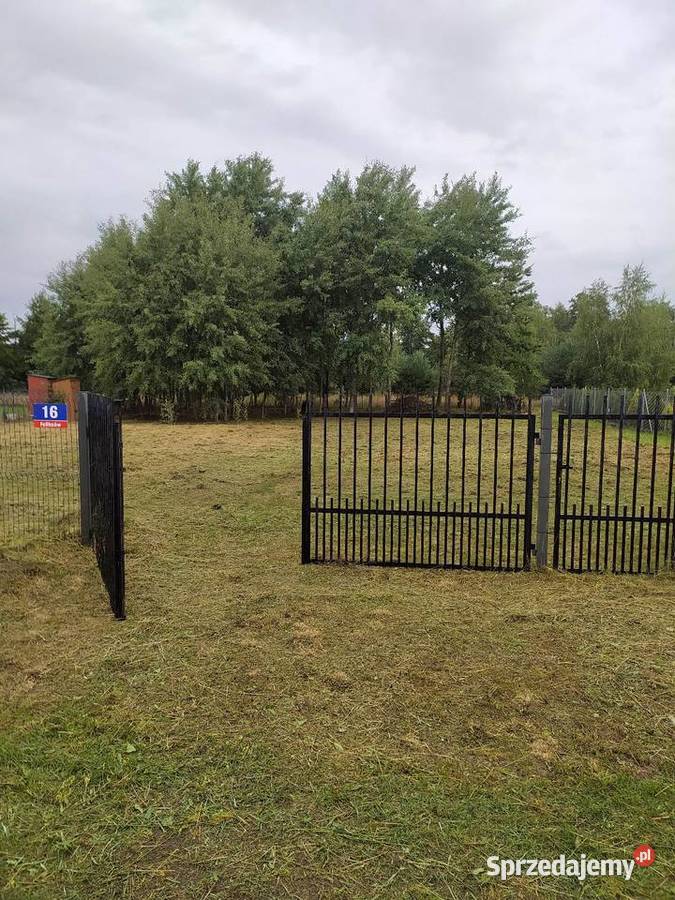 Działka rekreacyjnobudowlana Feliksów