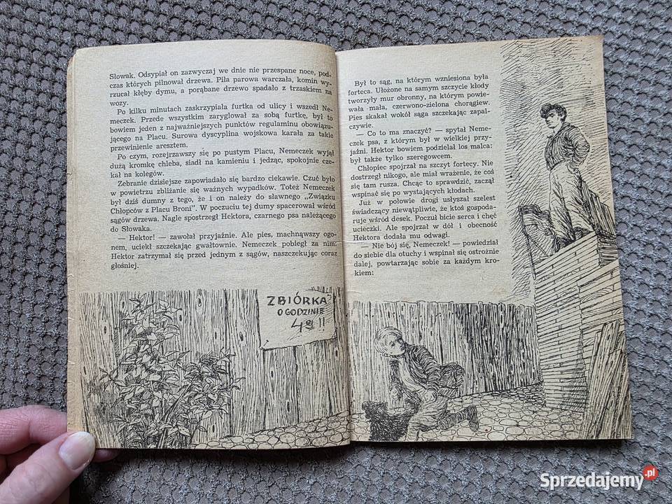 Chłopcy z Placu Broni Ferenc Molnr Kraków