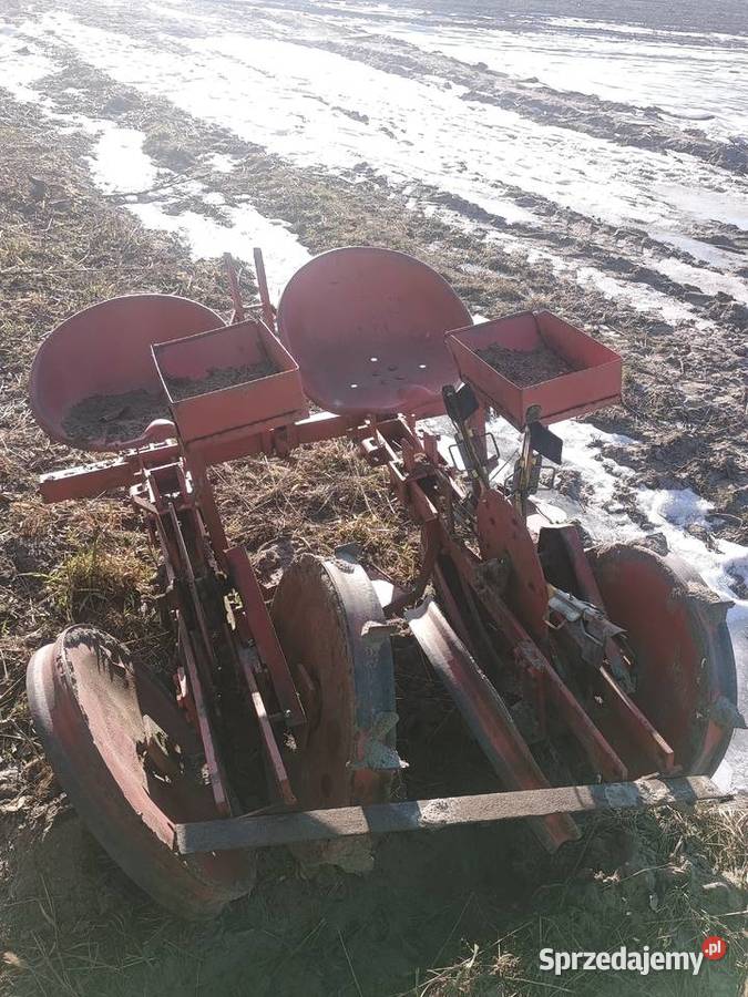 Sadzarka chwytakowa Sprzedam Izabelów