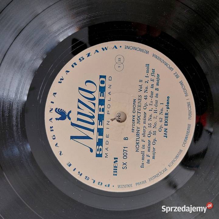 Plyty winylowe audio pocztówkiPrzesylka Skierniewice
